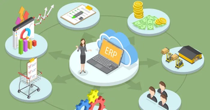 ERP ECOMMERCE