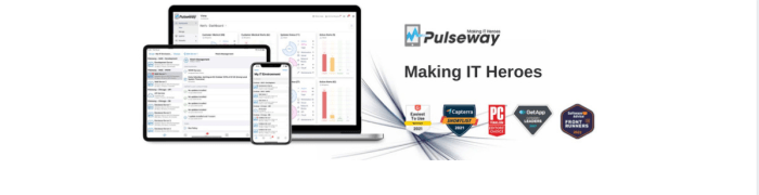 PULSEWAY RMM PRICING