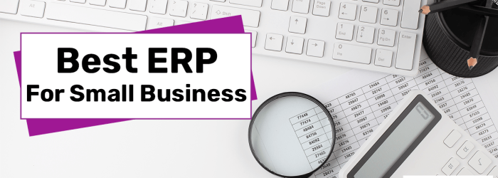 Erp software small business medium select features