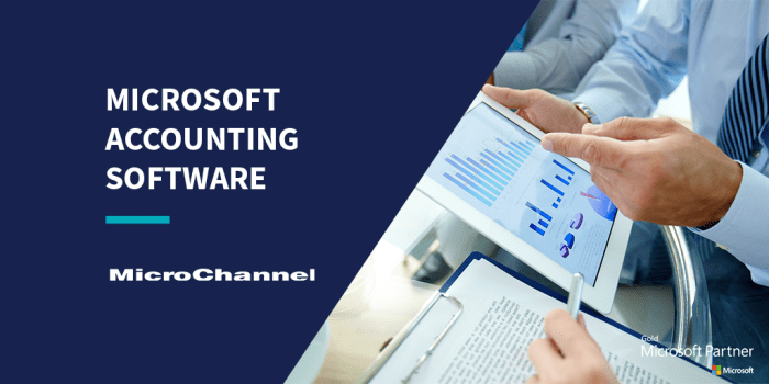 MICROSOFT ACCOUNTING SOFTWARE