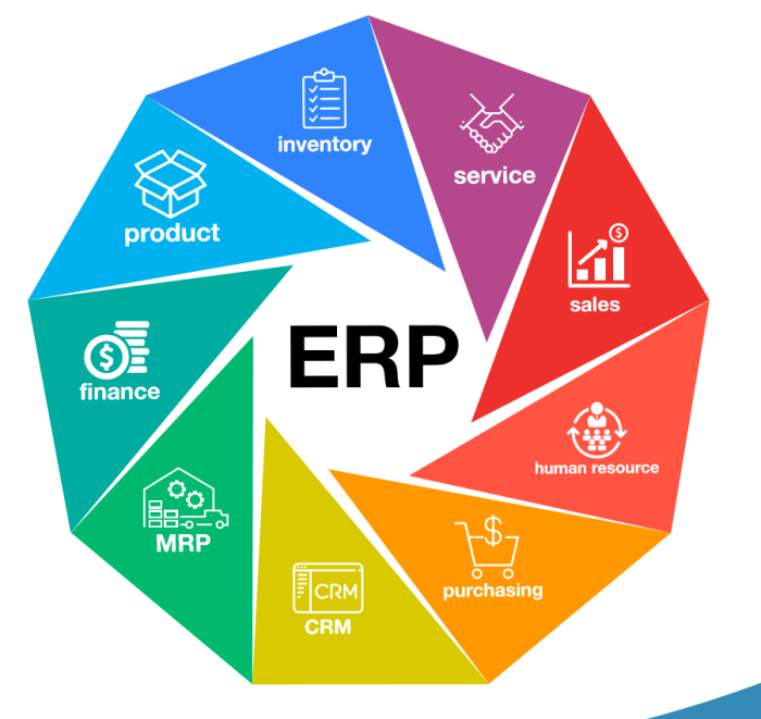 Erp modules features functions finance netsuite types resource business infographic