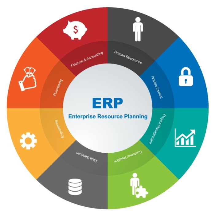 Erp planning enterprise resource systems web education higher process erps business school going software full processes applications management features types