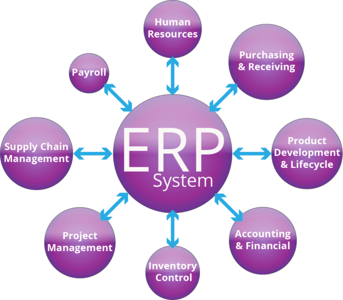 ERP FOR SMALL BUSINESS