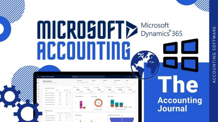 MICROSOFT ACCOUNTING SOFTWARE