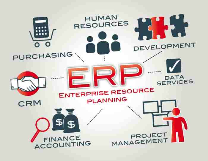 ERP ECOMMERCE