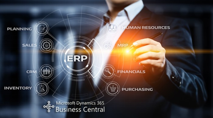 XENTRAL ERP