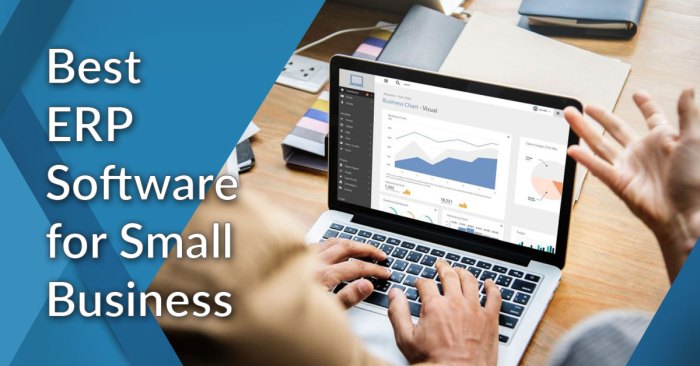 BEST ERP FOR SMALL BUSINESS