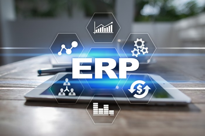 MANUFACTURING ERP SOFTWARE