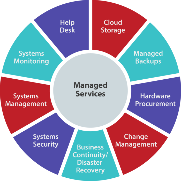 Managed provider service msp services why need