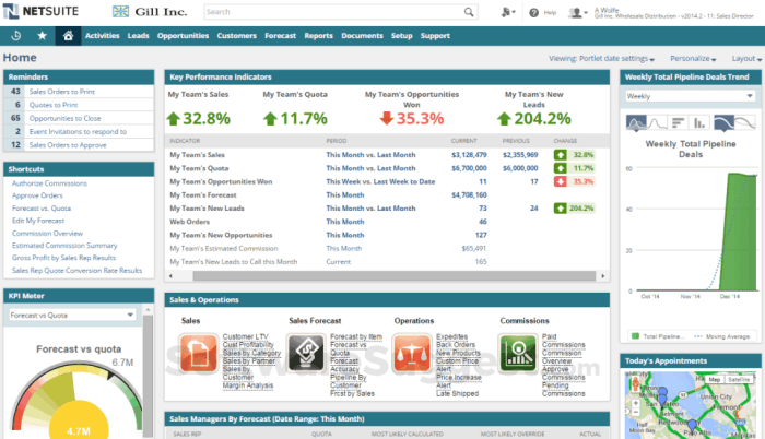 Oracle netsuite modules