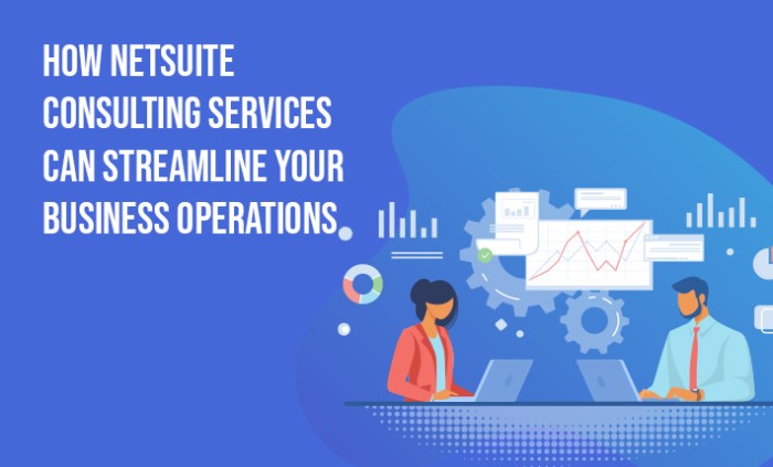 NETSUITE CONSULTING SERVICES