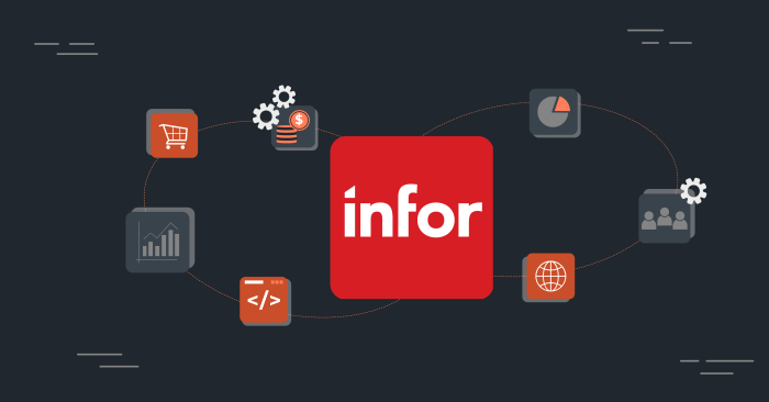 INFOR ERP SYSTEM