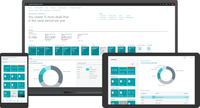 MICROSOFT DYNAMICS ACCOUNTING SOFTWARE