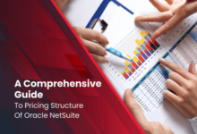 NETSUITE PRICING STRUCTURE