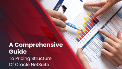 NETSUITE PRICING STRUCTURE