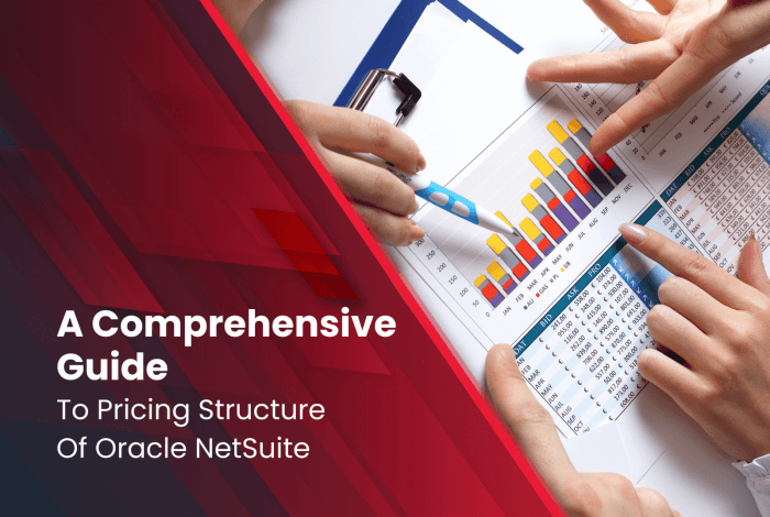 NETSUITE PRICING STRUCTURE