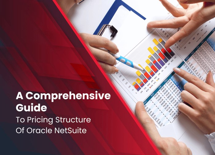 NETSUITE PRICING STRUCTURE