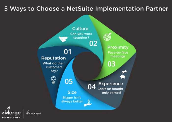 TOP NETSUITE IMPLEMENTATION PARTNERS