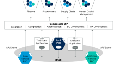 COMPOSABLE ERP