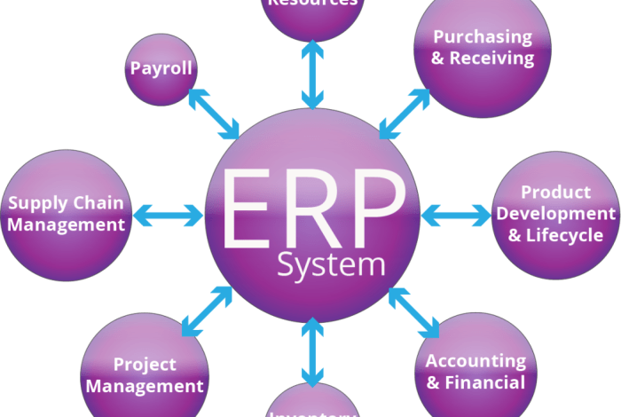 Erp implementations