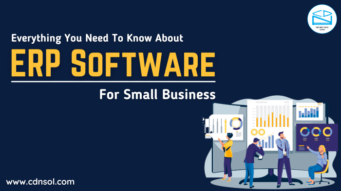 BEST ERP FOR SMALL DISTRIBUTION BUSINESS