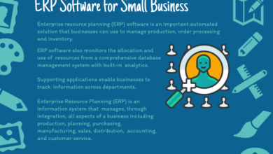 ERP SMALL AND MEDIUM BUSINESS