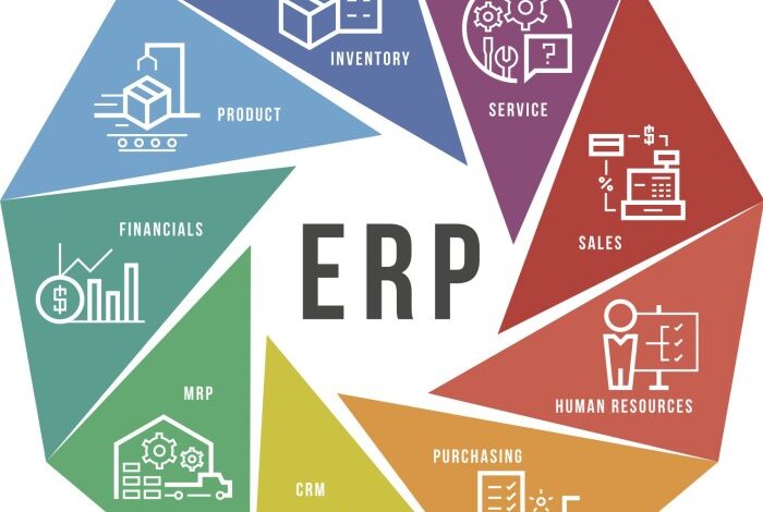 MANUFACTURING ERP SYSTEMS