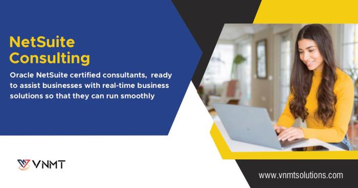 NETSUITE CONSULTING SERVICES