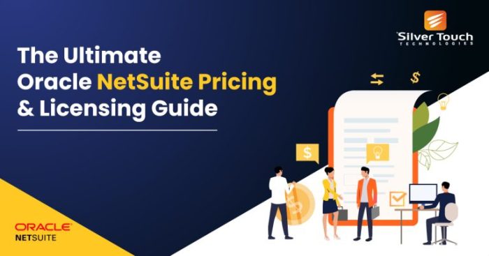 NETSUITE ERP PRICING