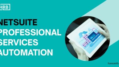 NETSUITE PROFESSIONAL SERVICES AUTOMATION