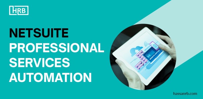 NETSUITE PROFESSIONAL SERVICES AUTOMATION