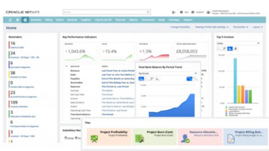 NETSUITE DEMO