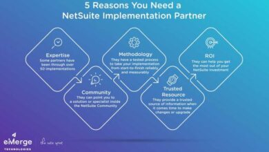 NETSUITE IMPLEMENTATION PARTNERS