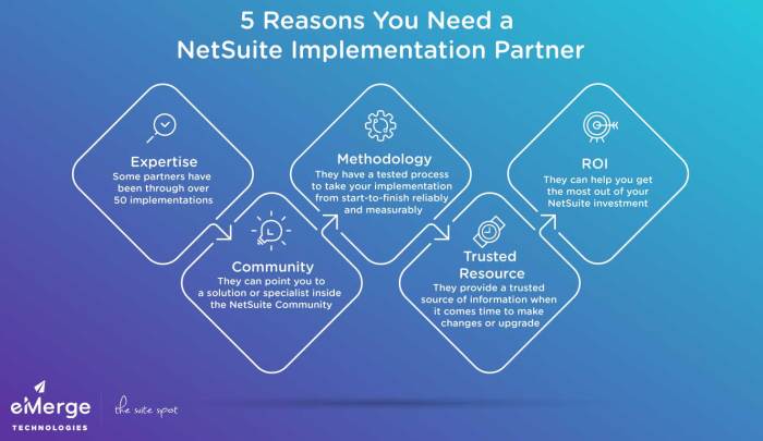 NETSUITE IMPLEMENTATION PARTNERS