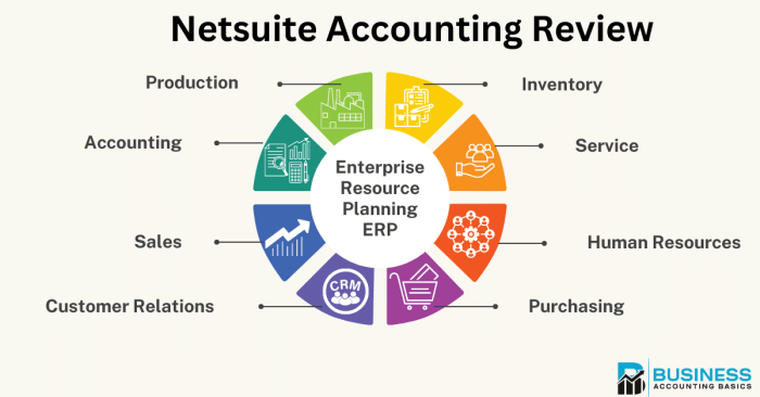 Netsuite erp finanzmanagement portal