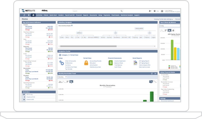 NETSUITE ERP SYSTEM