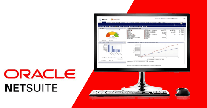 ORACLE NETSUITE CONSULTANT