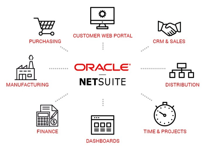 ORACLE NETSUITE CONSULTANT