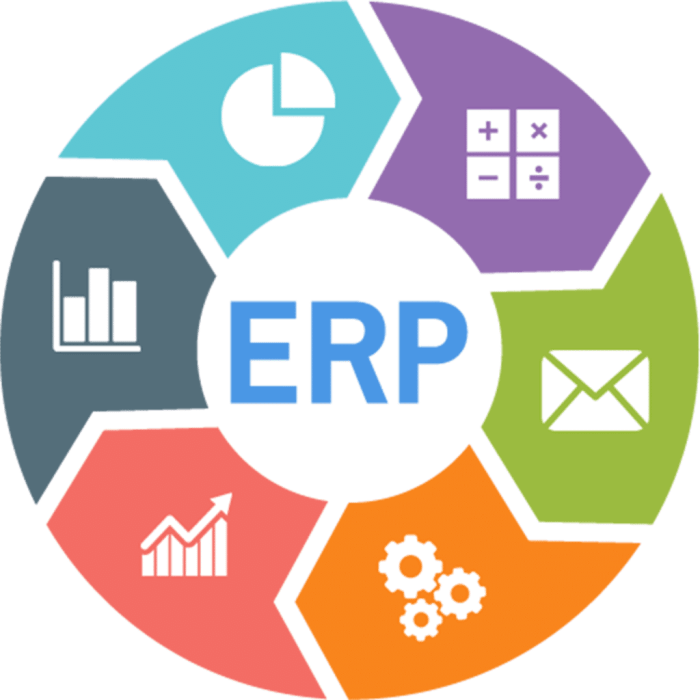 HEALTHCARE ERP