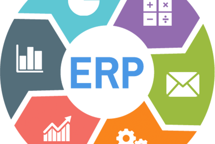 Erp implementations