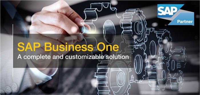 SAP BUSINESS ONE PARTNER