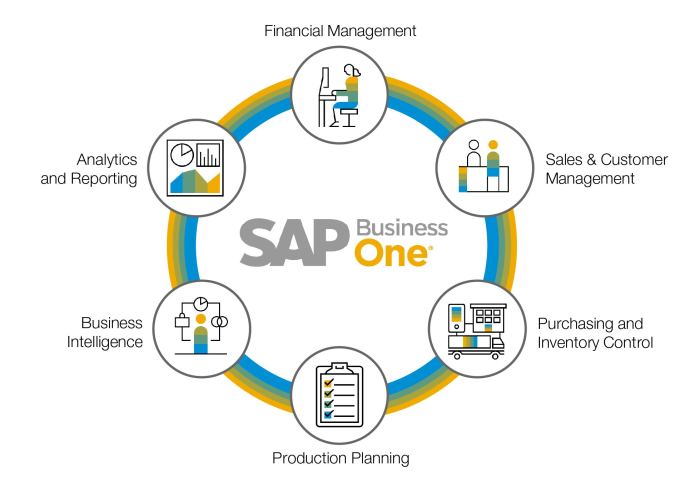 SAP BUSINESS ONE CLOUD