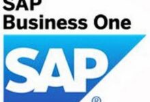 Partner business sap data master categories