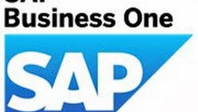 Partner business sap data master categories