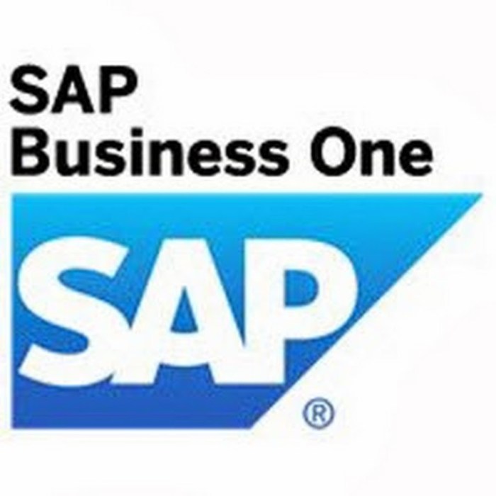 Partner business sap data master categories