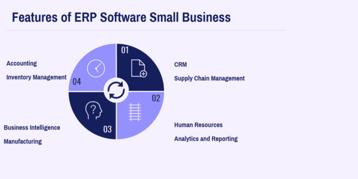 ERP SMALL AND MEDIUM BUSINESS