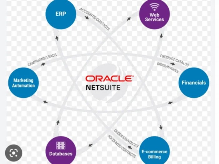 Netsuite accounting pricing capterra erp features inventory oracle cdn0 hubspot modules getapp suitecommerce