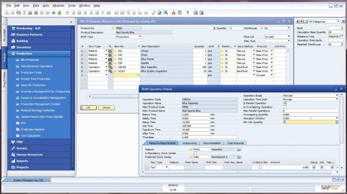 SAP BUSINESS ONE COST