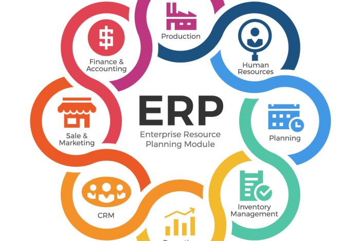 Erp implementations