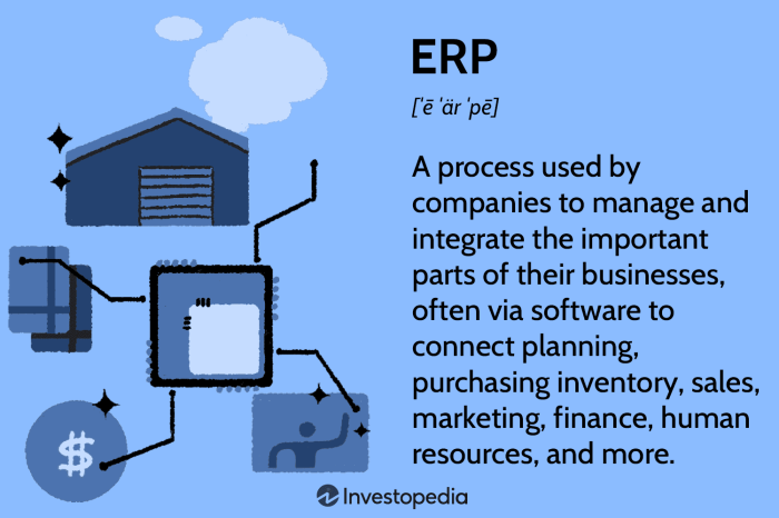 Erp system functions implementation steps systems process enterprise planning resource software resources business successful solutions tally manage caption database single